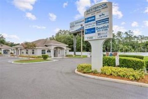 Propiedad comercial en venta en Wesley Chapel, Florida, 183.95 m2 № 1359743 - foto 2