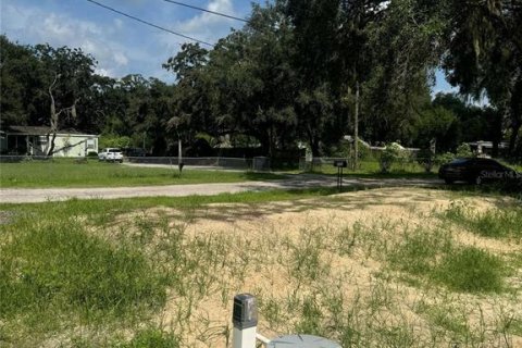 Terreno en venta en Land O' Lakes, Florida № 1355579 - foto 3