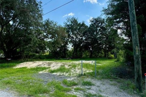 Terreno en venta en Land O' Lakes, Florida № 1355579 - foto 2