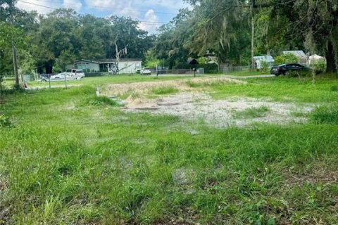 Terreno en venta en Land O' Lakes, Florida № 1355579 - foto 5