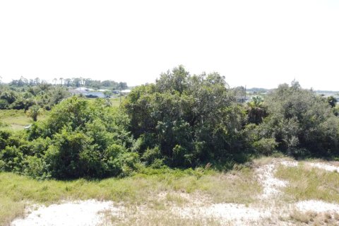 Купить земельный участок в Лабель, Флорида № 1096736 - фото 3