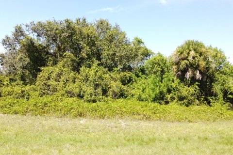 Terrain à vendre à LaBelle, Floride № 1096736 - photo 6