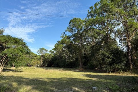 Terreno en venta en Clewiston, Florida № 1406257 - foto 4