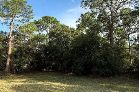 Terreno en venta en Clewiston, Florida № 1406257 - foto 15