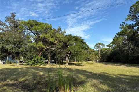 Terreno en venta en Clewiston, Florida № 1406257 - foto 5