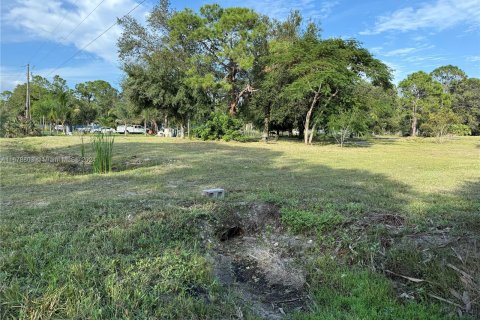 Terreno en venta en Clewiston, Florida № 1406257 - foto 1