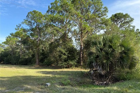 Terreno en venta en Clewiston, Florida № 1406257 - foto 3