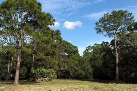 Terreno en venta en Clewiston, Florida № 1406257 - foto 13