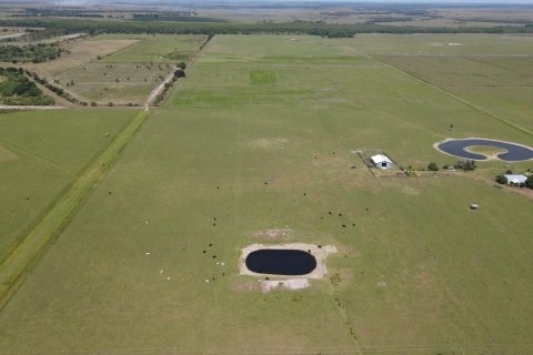 Land in Okeechobee, Florida № 1222535 - photo 8