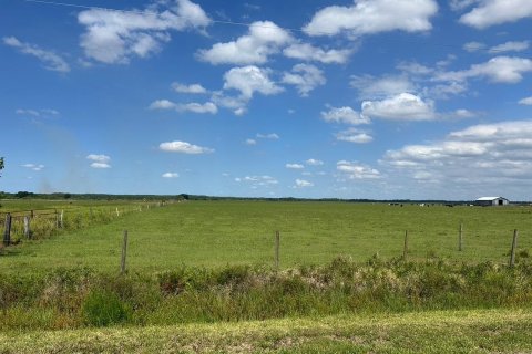 Land in Okeechobee, Florida № 1222535 - photo 2