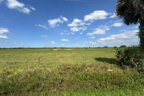 Land in Okeechobee, Florida № 1222535 - photo 4