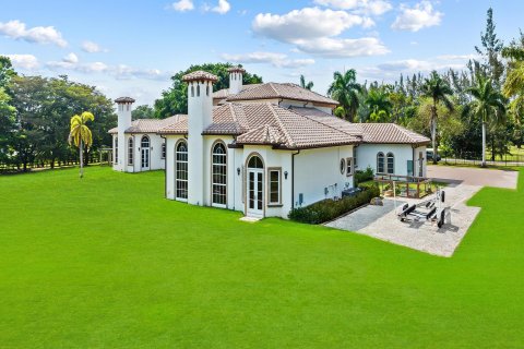 Villa ou maison à vendre à Parkland, Floride: 6 chambres, 767.09 m2 № 1222486 - photo 2