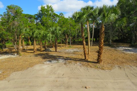 Casa en venta en Loxahatchee Groves, Florida, 4 dormitorios, 431.25 m2 № 1003831 - foto 3