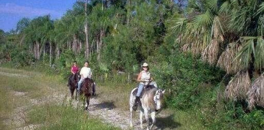 Villa ou maison à Loxahatchee Groves, Floride 4 chambres, 431.25 m2 № 1003831