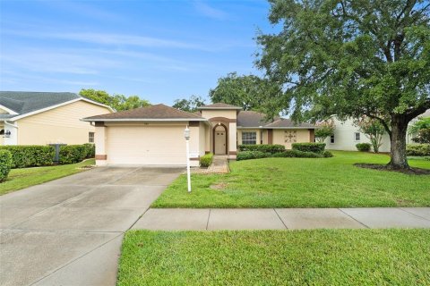 Villa ou maison à vendre à Trinity, Floride: 3 chambres, 174.38 m2 № 1311746 - photo 1