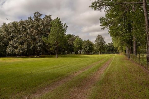 Terreno en venta en Lake City, Florida № 1374095 - foto 21