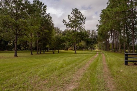 Land in Lake City, Florida № 1374095 - photo 22