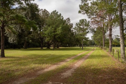 Terreno en venta en Lake City, Florida № 1374095 - foto 24