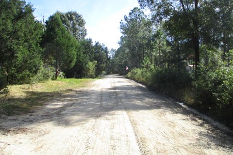 House in Glen Saint Mary, Florida 4 bedrooms, 128.21 sq.m. № 802098 - photo 6