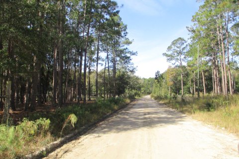 House in Glen Saint Mary, Florida 4 bedrooms, 128.21 sq.m. № 802098 - photo 4