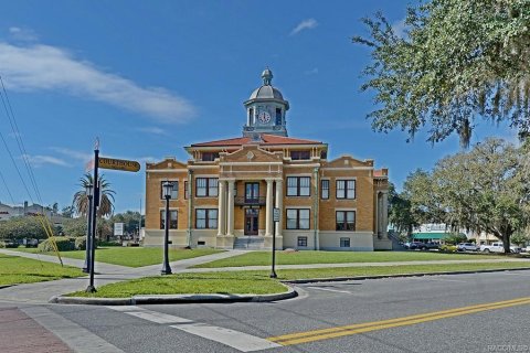 Terreno en venta en Inverness, Florida № 1319483 - foto 5