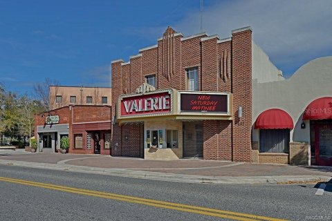 Terreno en venta en Inverness, Florida № 1319483 - foto 6