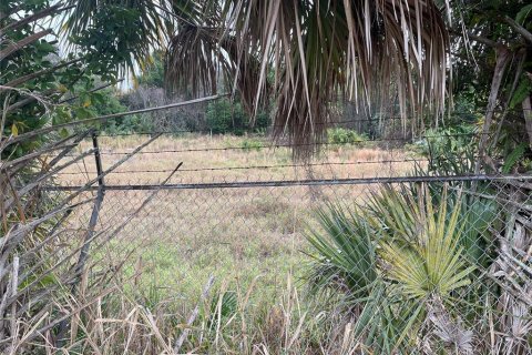 Land in Cocoa, Florida № 973303 - photo 1