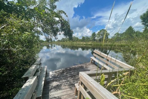 Studio in Cocoa, Florida № 1187087 - photo 9