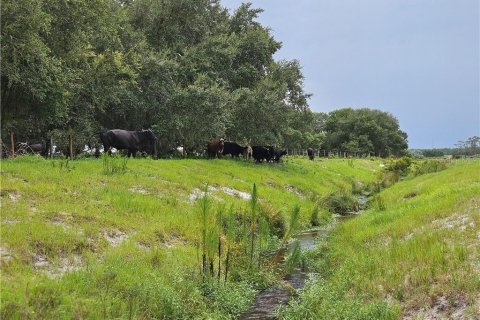 Terreno en venta en Venus, Florida № 1296201 - foto 2