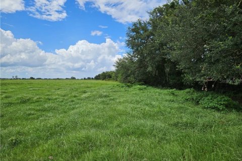 Terreno en venta en Venus, Florida № 1296201 - foto 5