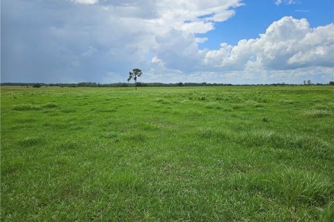 Terreno en venta en Venus, Florida № 1296201 - foto 3