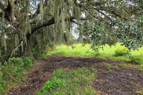 Land in Venus, Florida № 1296201 - photo 6