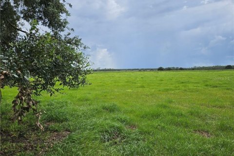 Terreno en venta en Venus, Florida № 1296201 - foto 4