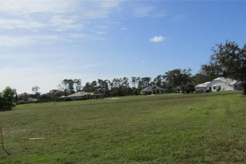 Купить земельный участок в Пунта-Горда, Флорида № 968560 - фото 1