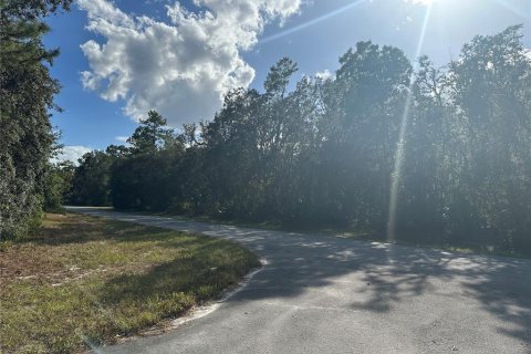 Terrain à vendre à Ocala, Floride № 1429093 - photo 5