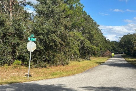 Terrain à vendre à Ocala, Floride № 1429093 - photo 2