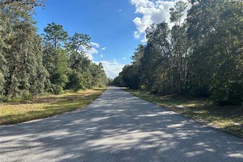 Terrain à vendre à Ocala, Floride № 1429093 - photo 6