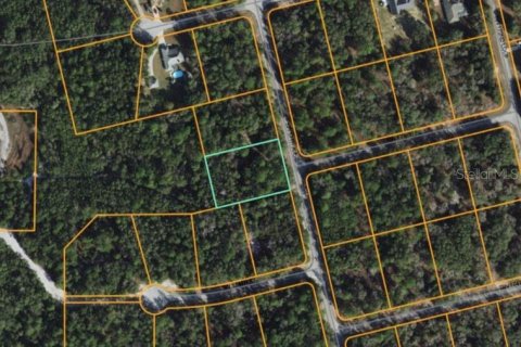 Land in Ocala, Florida № 1429093 - photo 1