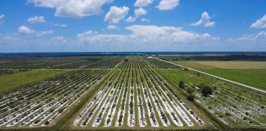 Terrain à Punta Gorda, Floride № 1296151