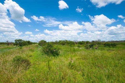 Terrain à vendre à Punta Gorda, Floride № 1296152 - photo 6