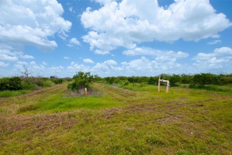 Terrain à vendre à Punta Gorda, Floride № 1296152 - photo 4