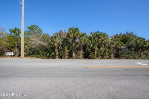 Terreno en venta en Saint Augustine, Florida № 766231 - foto 12