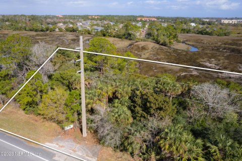 Land in Saint Augustine, Florida № 766231 - photo 9