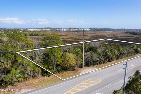 Land in Saint Augustine, Florida № 766231 - photo 1