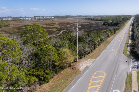 Land in Saint Augustine, Florida № 766231 - photo 14