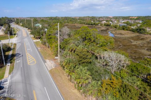 Land in Saint Augustine, Florida № 766231 - photo 13