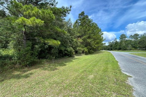 Terreno en venta en Lake City, Florida № 1278863 - foto 4