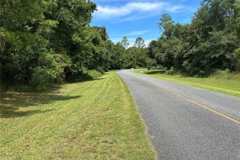 Terreno en venta en Lake City, Florida № 1278863 - foto 3