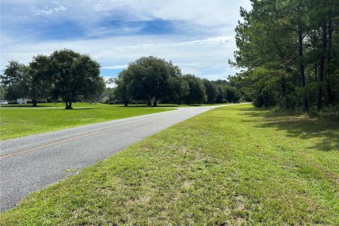 Terreno en venta en Lake City, Florida № 1278863 - foto 5