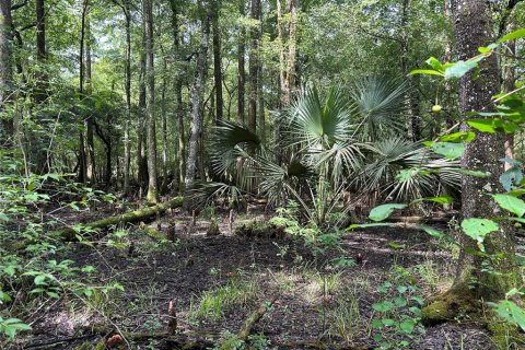 Land in Lake City, Florida № 1278863 - photo 20